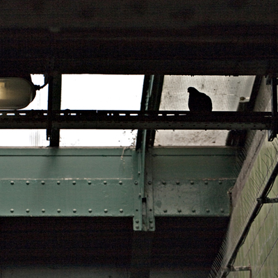 Renate Wichers - LOST