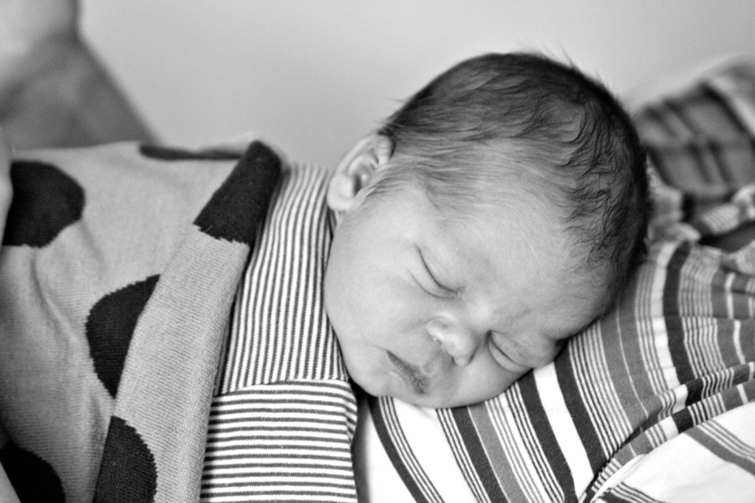 Renate Wichers - PORTRAIT