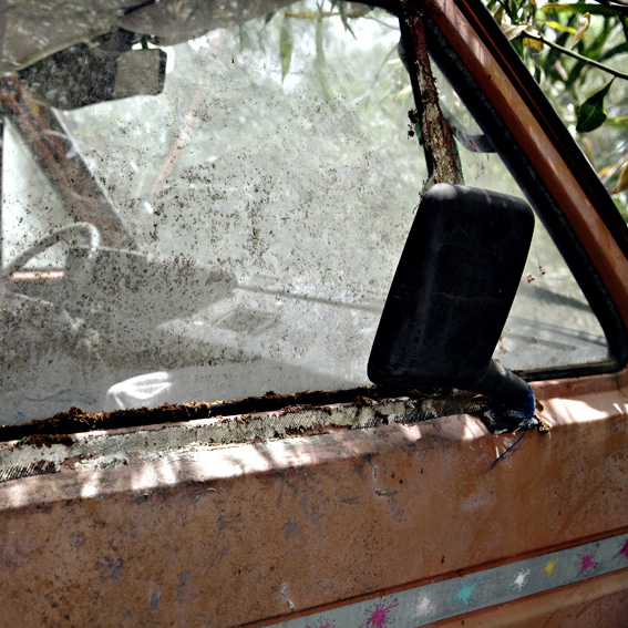 Renate Wichers - Lost