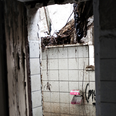 Renate Wichers - Lost