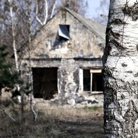 Renate Wichers - Lost