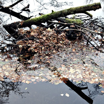 Renate Wichers - LANDSCHAFTS FOTOGRAFIE
