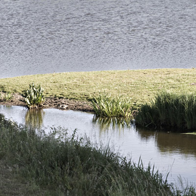 Renate Wichers - LANDSCHAFTS FOTOGRAFIE