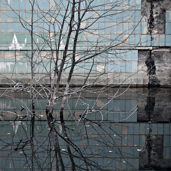 Renate Wichers - Lost