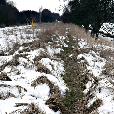 Renate Wichers - LANDSCHAFTS FOTOGRAFIE