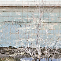 Renate Wichers - Lost