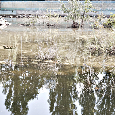 Renate Wichers - Lost