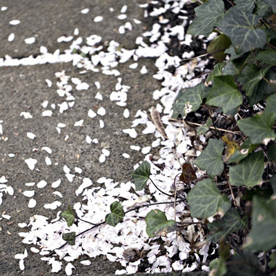 Renate Wichers - LANDSCHAFTS FOTOGRAFIE