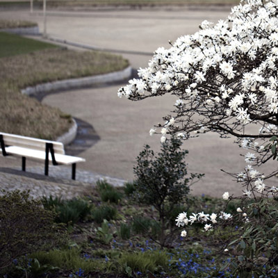 Renate Wichers - LANDSCHAFTS FOTOGRAFIE