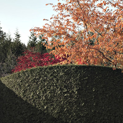 Renate Wichers - LANDSCHAFTS FOTOGRAFIE