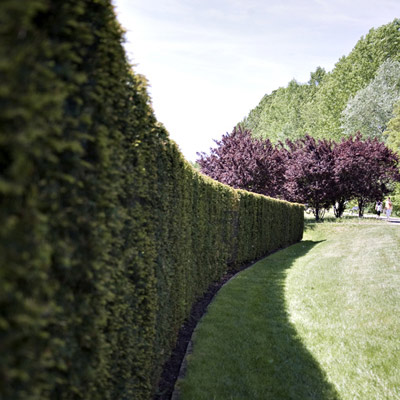Renate Wichers - LANDSCHAFTS FOTOGRAFIE